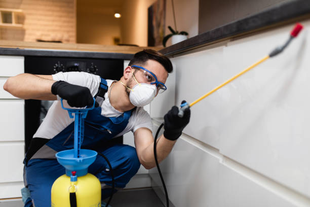 Best Affordable Pest Control Services  in Wetumpka, AL