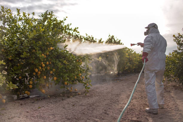 Best Cockroach Control Services  in Wetumpka, AL